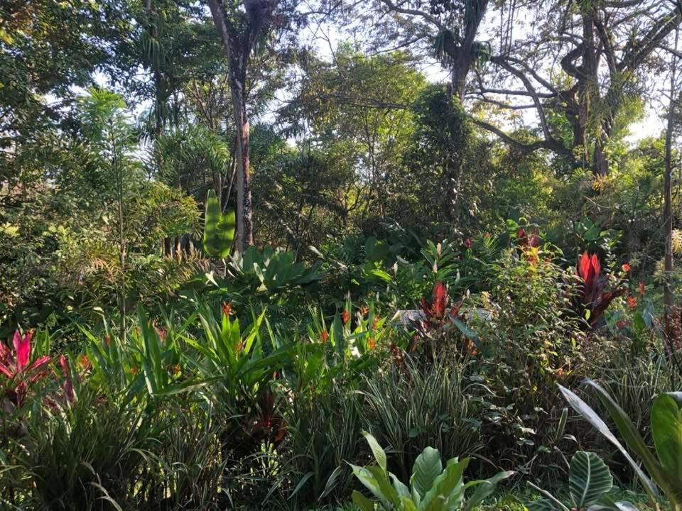 Puesta Del Sol Hotel Quepos Ngoại thất bức ảnh