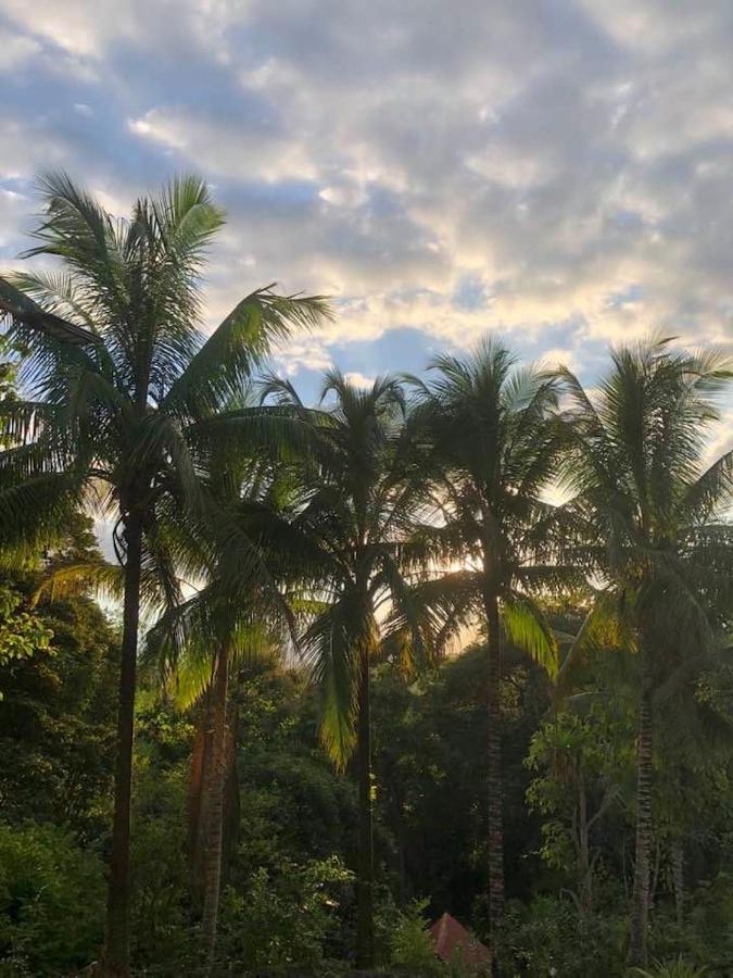 Puesta Del Sol Hotel Quepos Ngoại thất bức ảnh